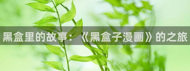 漫画之家官网首页：黑盒里的故事：《黑盒子漫画》的之旅