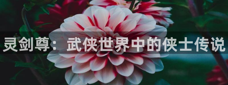 漫画之家.