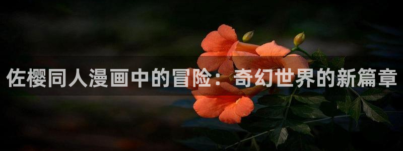 漫画之家官网入口免费观看：佐樱同人漫画中的冒险：奇幻世界的新篇章