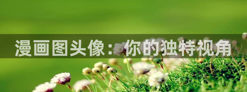 漫画之家漫画官网：漫画图头像：你的独特视角